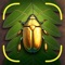 Icon Bug Identifier App - Insect ID