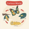 Curious World: Preschool Learn
