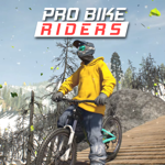 Pro Bike Rider на пк