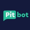 Pitbot.pl program  e-PIT 2022