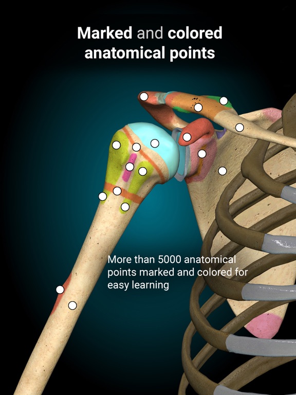 Anatomy Learning - 3D Anatomy screenshot 4