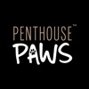 Penthouse Paws