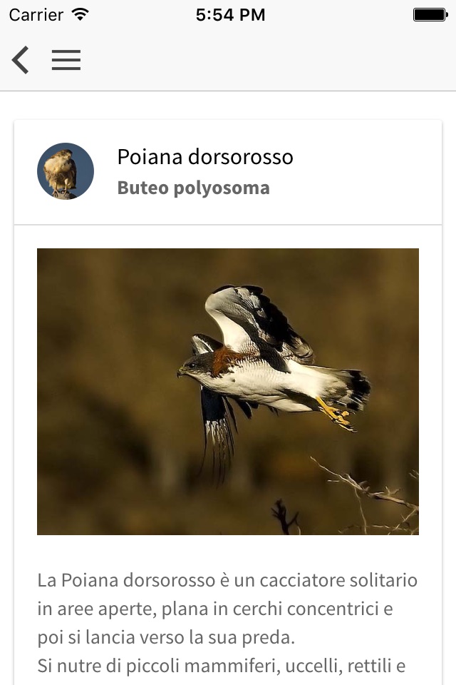 Birds of Patagonia screenshot 4