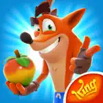 Crash Bandicoot: On the Run! App Cancel