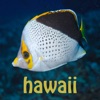 Scuba Fish Hawaii