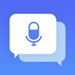 Voice Translator Travel Now