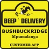 Beep A Delivery Bushbuckridge