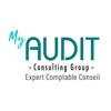 Audit Consulting Group
