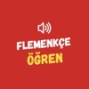 Flemenkçe öğren