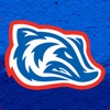 Arkadelphia Badger Athletics