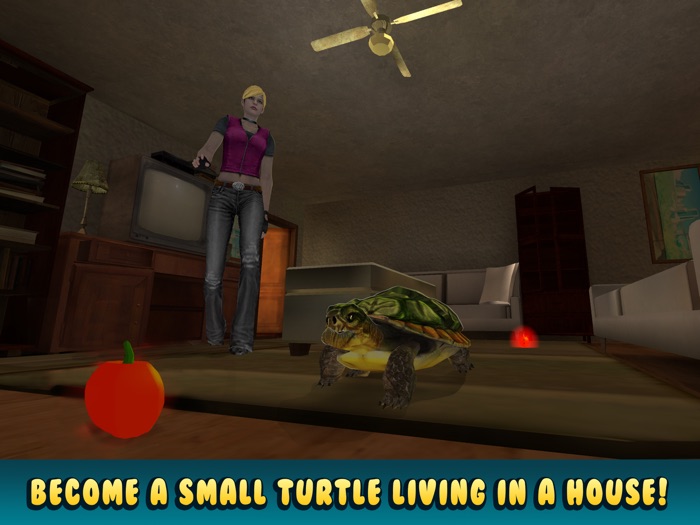 龟模拟器：房子生活