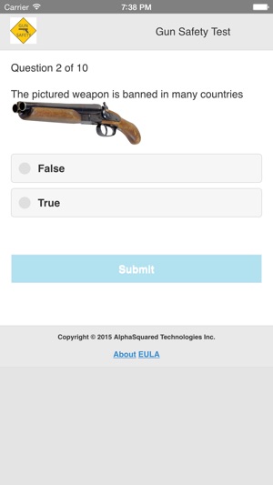 Gun Safety Test(圖2)-速報App