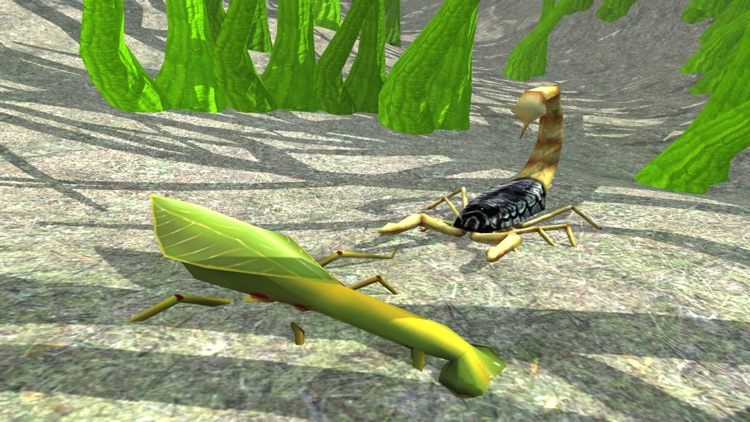 Scorpion Insect Simulator screenshot-3