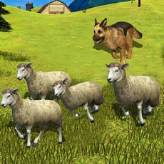 Activities of Sheep Dog : Trained Herding Dog Simulator