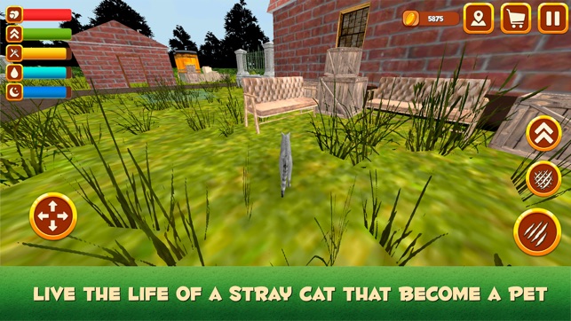 House Cat Life Simulator 3D(圖1)-速報App