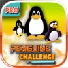Penguin Challenge Pro