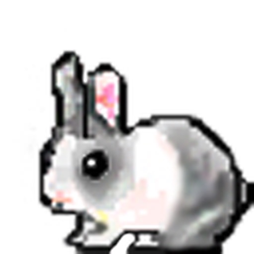 Wild Rabbit by Lorenzo Vannuccini