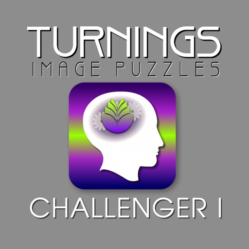 Turnings Image Puzzles Charllenger 1