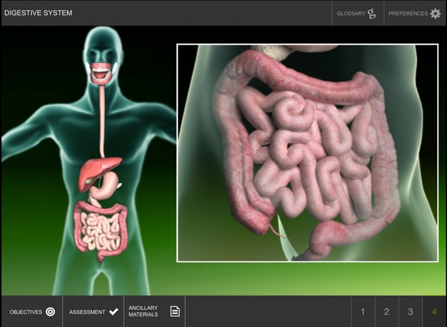 Digestive System(圖4)-速報App