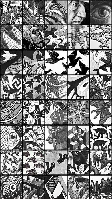 How to cancel & delete M. C. Escher The Graphic Work from iphone & ipad 2