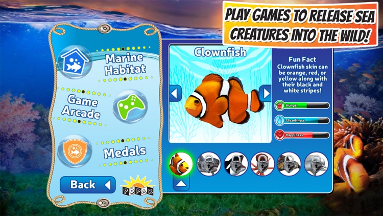 Popar Sea Life screenshot-4