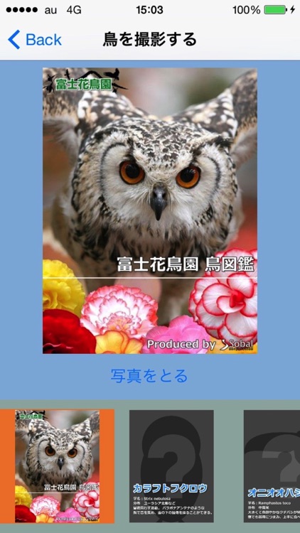 富士花鳥園 鳥図鑑アプリ