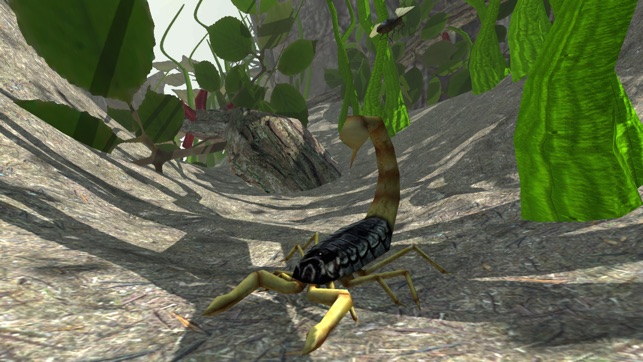 Scorpion Insect Simulator(圖2)-速報App