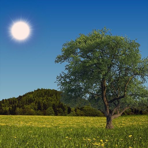 Nature Live Weather