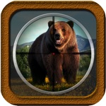Big Bear Sniper 2017