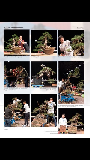 Bonsai Focus FR(圖4)-速報App