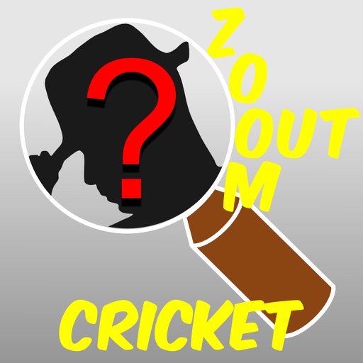 Zoom Out Cricket Game Quiz Maestro icon