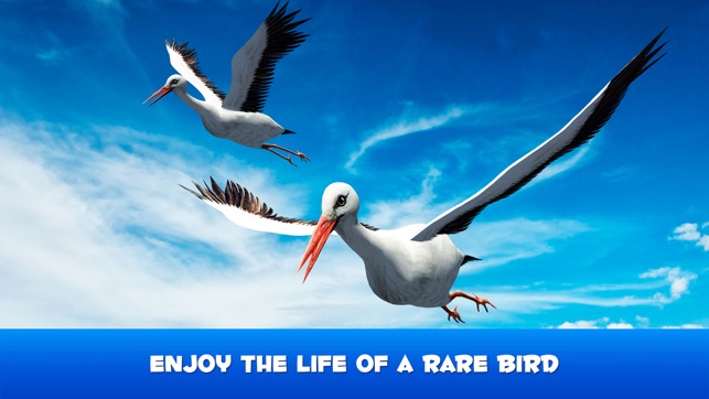 Flying Stork Simulator: Bird Life 3D