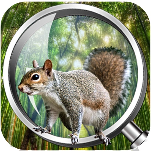 Forest Clue Hidden Object icon