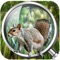 Welcome to the New Concept Of Forest Clue Hidden Object 