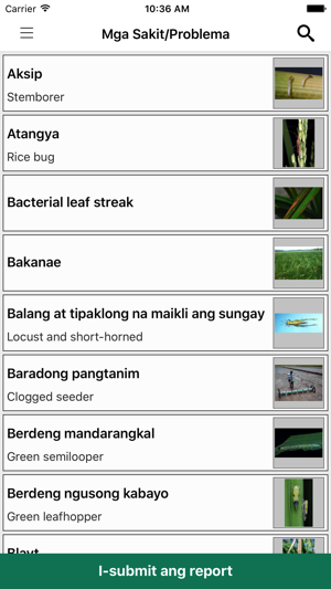 Rice Doctor Tagalog(圖3)-速報App