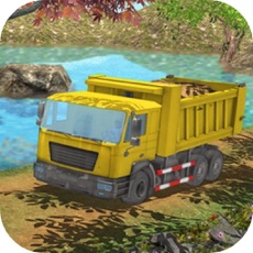 Activities of Heavy Truck Transport