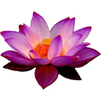 Connecting Sri Lanka - News Radios Chat TV Sports PC 용