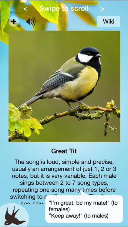 Chirp! Bird Songs & Calls of Britain and Europe +