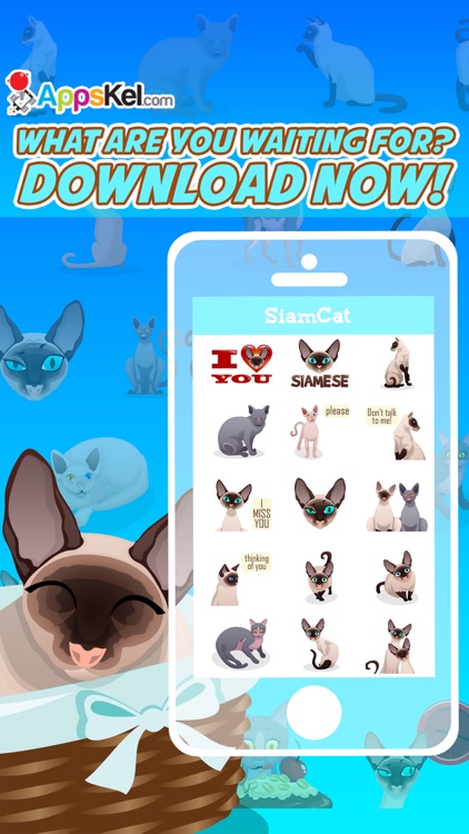Siamese Cat Emoji – Stickers for Text Messages Pro screenshot-3