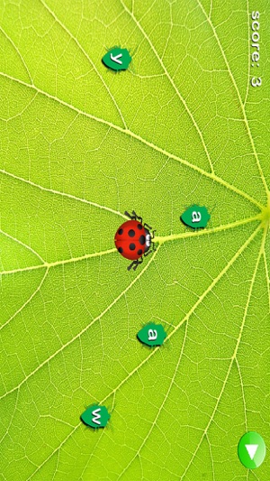 Ladybug Munch(圖3)-速報App