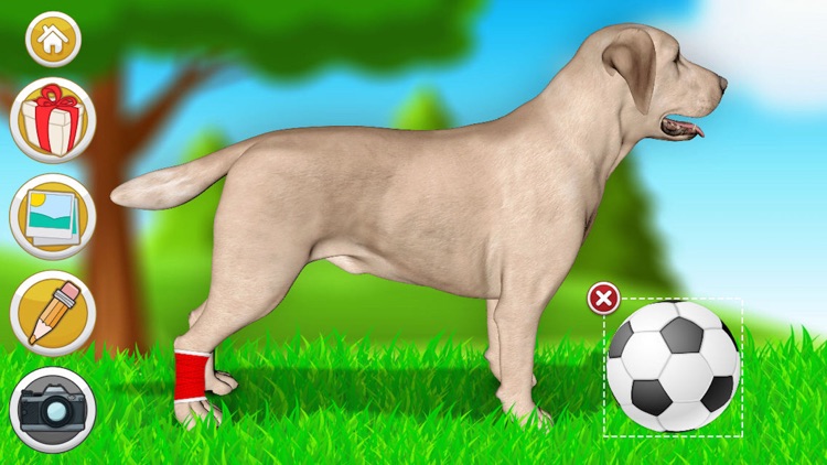 Pet Vet Doctor Dogs screenshot-3