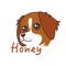 Calling all Brittany Spaniel owners