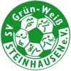 TT SV GW Steinhausen e.V.