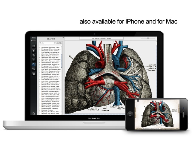 Gray's Anatomy Premium for iPad(圖5)-速報App