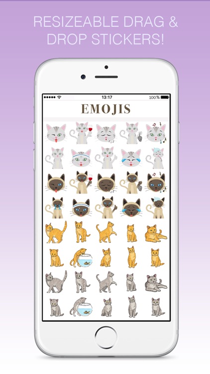 Cats - emoji sticker pack for cat lovers