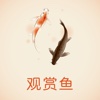 中国观赏鱼交易平台