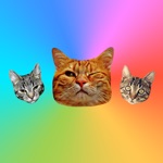 Cat Stickers for iMessage  Cats  Cat Heads