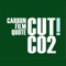 The advertising + film industry is a big CO2 contributor and the most energy consuming creative industry on earth: Each and every year over 11