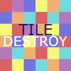 Activities of Tile Destroy