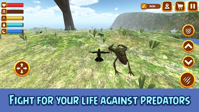 Hummingbird Simulator 3D: Bird Life(圖4)-速報App